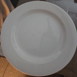 Fortessa Bone China White Ceramic Dinnerware Set